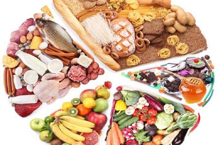 از صدور گواهی سلامت روان برای رانندگان تا وضعیت توله خرس گمشده پردیسان