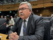 Representante de Rusia: “Activación del mecanismo de Snapback es jugar con el fuego”